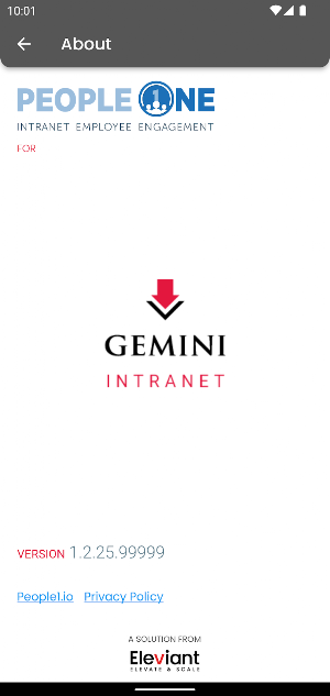 Gemini True View Screenshot 1