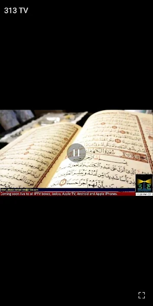 313 TV Screenshot 2