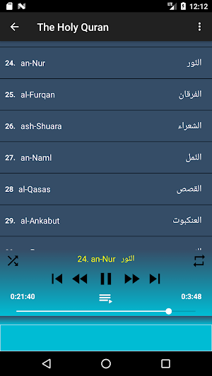 Ali Al Huthaify full Quran (Gallon) offline & read Screenshot 3
