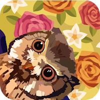 Owl & Flower:Color Master Coloring Book Package