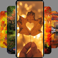 Autumn wallpaper-4k Background