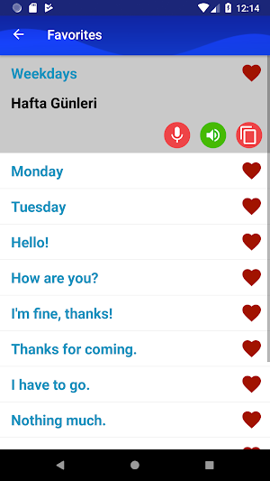 Learn Turkish Fast and Free Screenshot 3