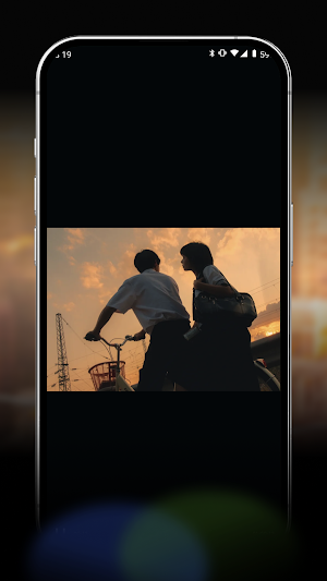 VidVast Screenshot 3