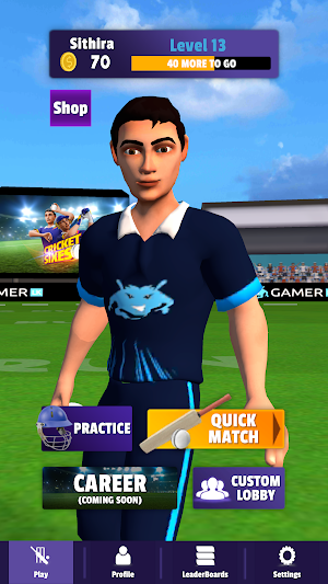 Cricket Sixes Screenshot 3