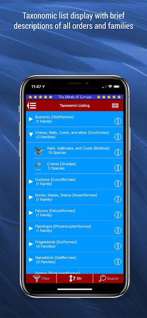 Birds of Europe Screenshot 1