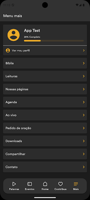 ICDL Screenshot 2
