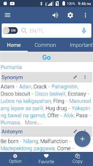 English To Filipino Dictionary Screenshot 2