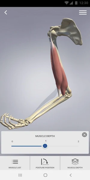 3D Spasticity Screenshot 1
