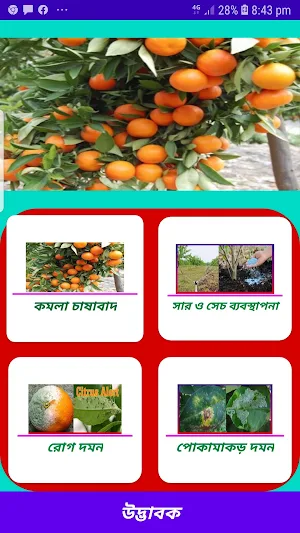 কমলা চাষাবাদ~Orange Cultivation Screenshot 0