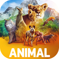 Animal Wallpapers
