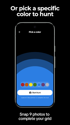 Color Hunter Screenshot 2