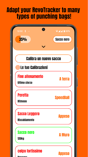 Boxing Revo Screenshot 2