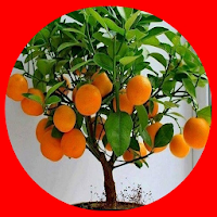 plant Hybrids