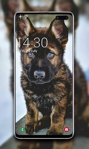 Puppy Wallpaper 🐶 Screenshot 3