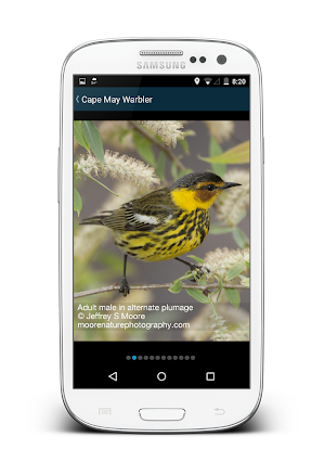 Biggest Week in Am. Birding Screenshot 2