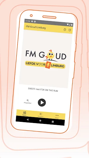 FM Goud Screenshot 1