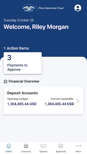iBanking Screenshot 0