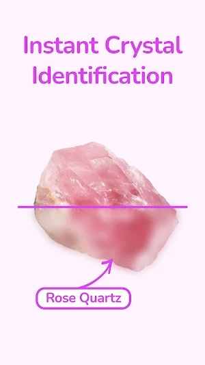 Crystal Identifier & Scan Screenshot 0