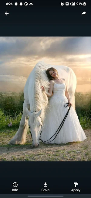 Foreign Bridal Photo Poses Screenshot 2