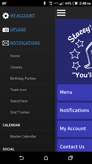 Stacey's Gymnastics Screenshot 1