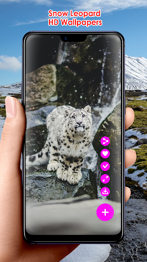 Snow Leopard HD Wallpapers Screenshot 0