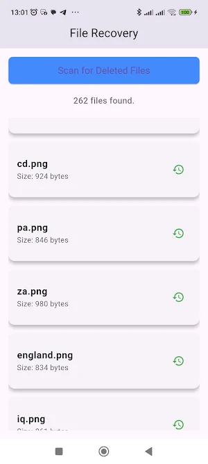 recoverpro Screenshot 1