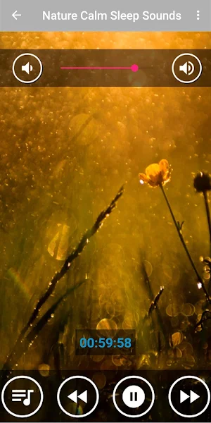 Relaxing Music with Beautiful Nature Screenshot 3