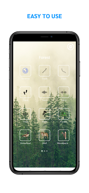 Forest Sound Screenshot 2
