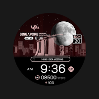 SamWatch Scenery 2024 SIN