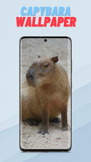 Capybara Wallpaper HD Screenshot 2