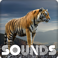 Tiger Roar Sound Ringtones