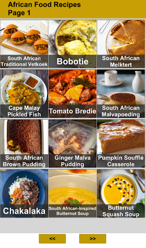 African Food Recipes Screenshot 0