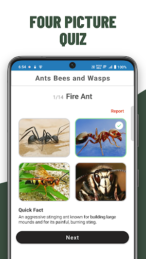 Insects Quiz Screenshot 1