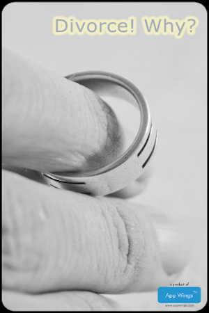 Divorce Why? Screenshot 0