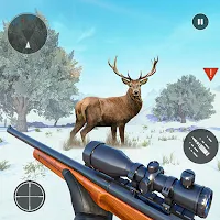 Jungle Hunting Simulator Games