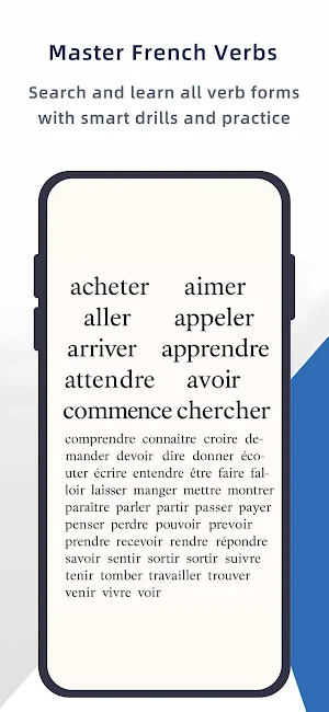French Mastery: Beginner to B1 Screenshot 3