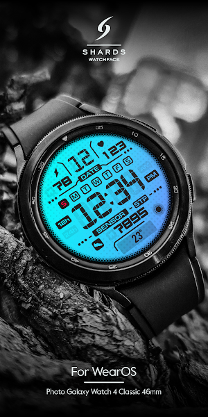 SH023 Watch Face, WearOS watch Screenshot 2