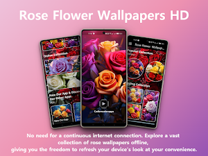 Rose flower wallpapers offline Screenshot 0