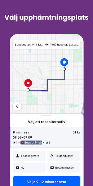 Bussigt Piteå Screenshot 1