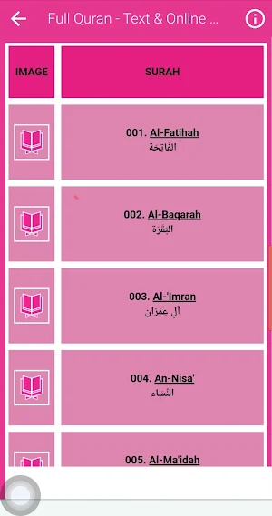 Hassan Saleh Quran Offline Screenshot 3