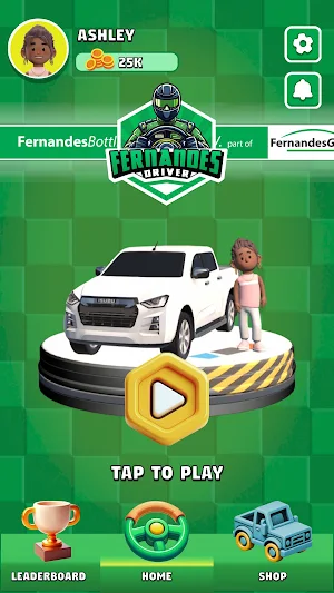 Fernandes Driver Screenshot 2