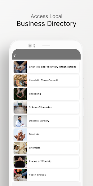 Llandeilo Town Screenshot 2
