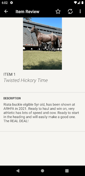 Equine Exchange Auctions Screenshot 2