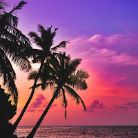 Sunset Wallpapers & Background