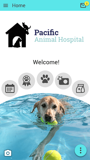 Pacific Animal Hospital MO Screenshot 0