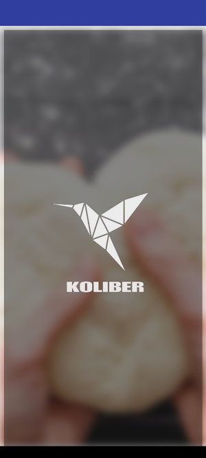 Pizza Koliber Screenshot 1