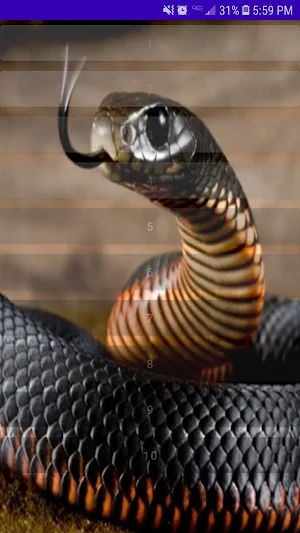 Snake Hiss And Hissing Sounds Screenshot 1