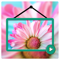 Video Live Wallpapers HD - Vid