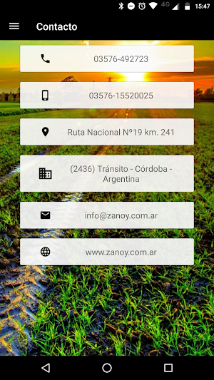 Consultas Zanoy S.A. Screenshot 2