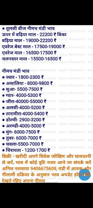 Neemuch Mandibhav Screenshot 2